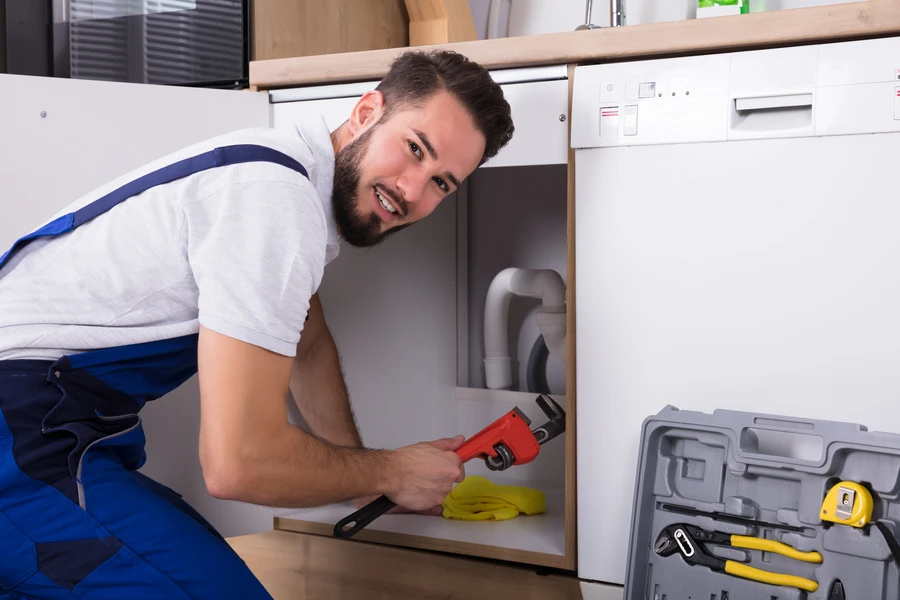 The Role Of Leak Detection In Preventing Mold Growth in Snohomish, WA